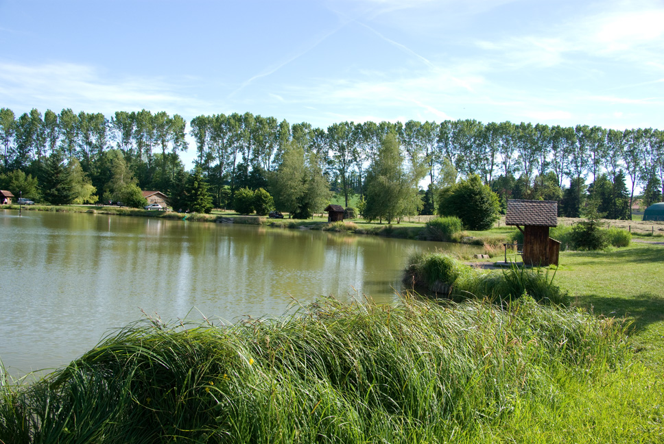 Les berges du Tapon à St André le Gaz